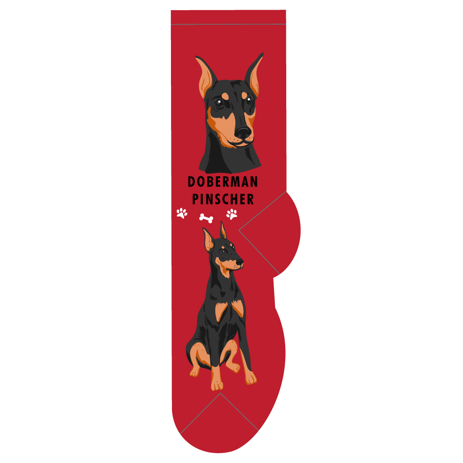 Doberman Pinscher