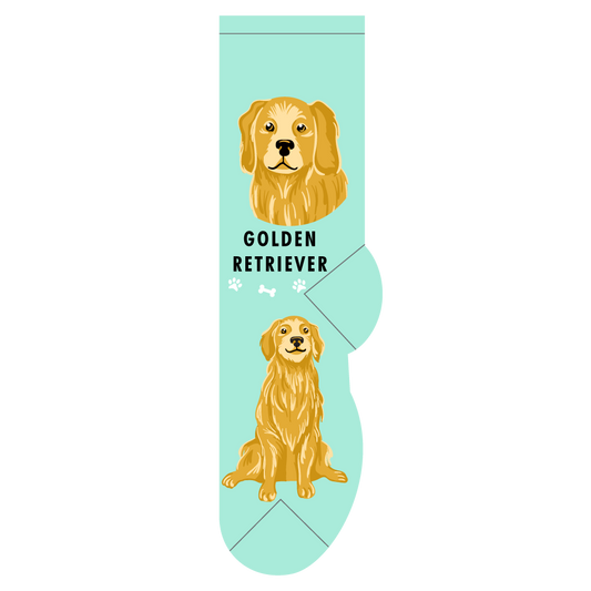 Golden Retreiver