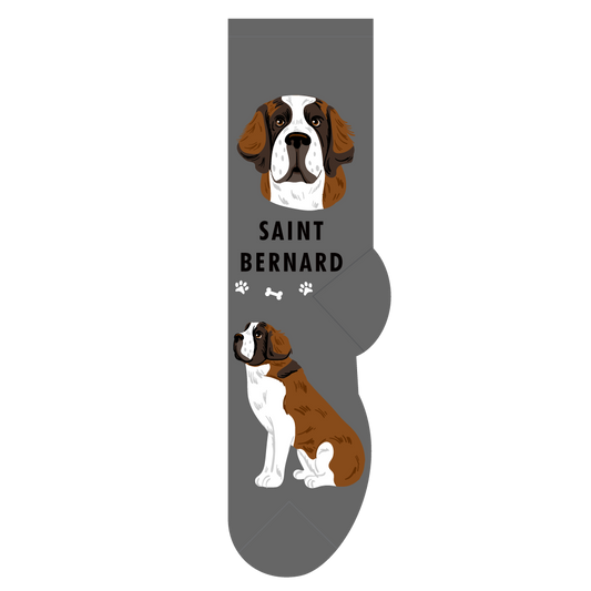 Saint Bernard